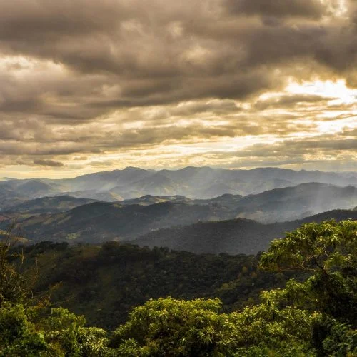 Tracking progress towards climate commitments at the federal state-lev