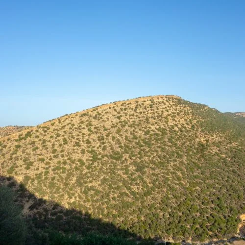 Souss Massa region pilots Morocco’s first subnational monitoring, repo