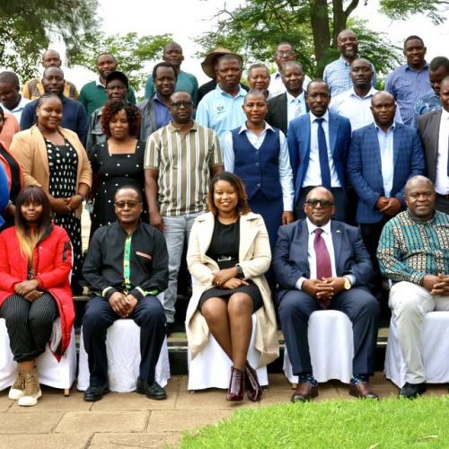 Zimbabwe Endorses New Digital Tool for Climate Adaptation Transparency