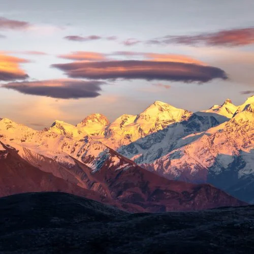 Call for proposals: National Implementing Partner for ICAT Georgia