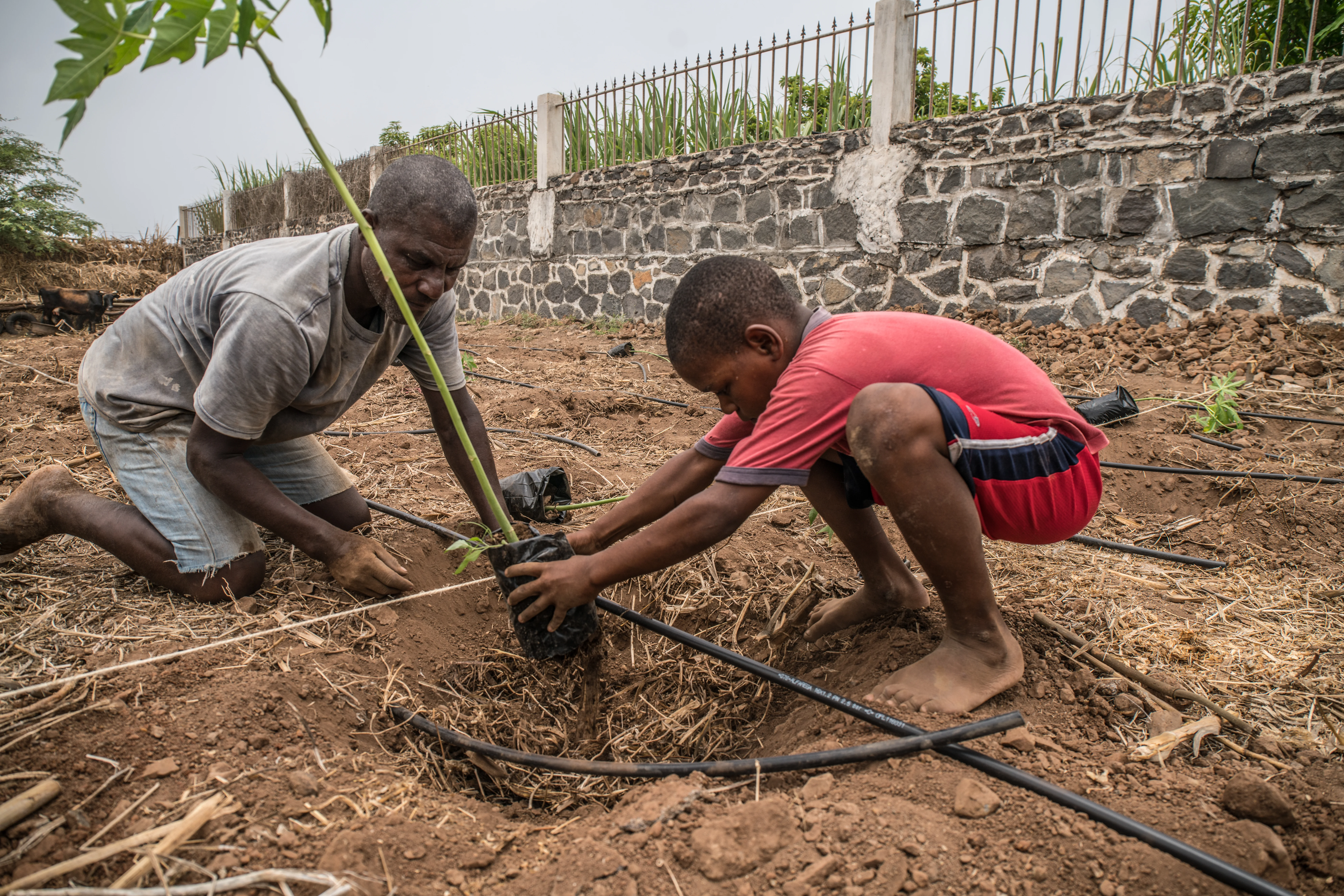 Assessment Tool and Guide for Adaptation Project Proposals