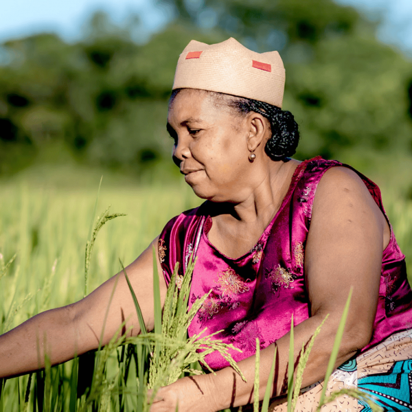 Out Now: The 2025 ICAT Impact Report