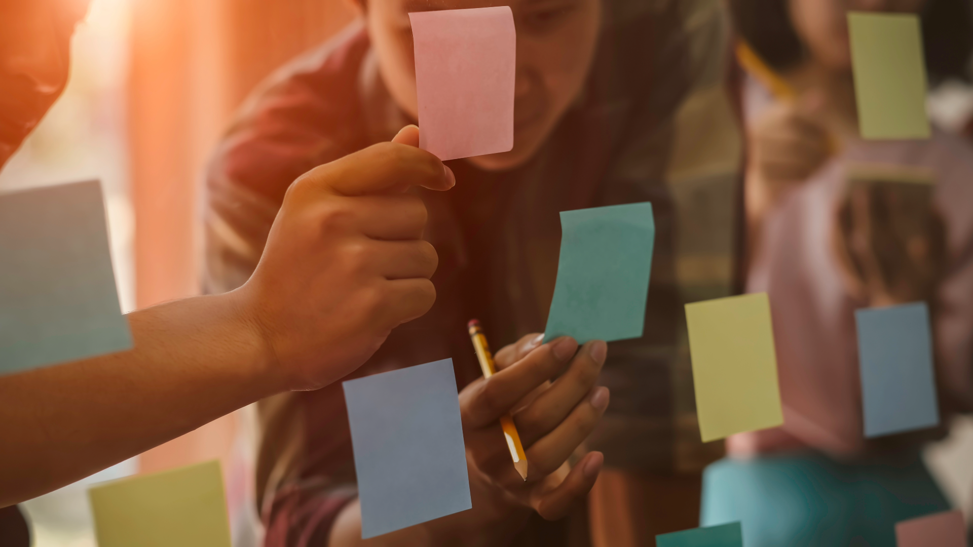 Spotlight: Climate Transparency Training