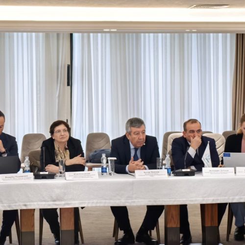 Supporting NDC 3.0 in Central Asia: Regional Approaches and Tools for 