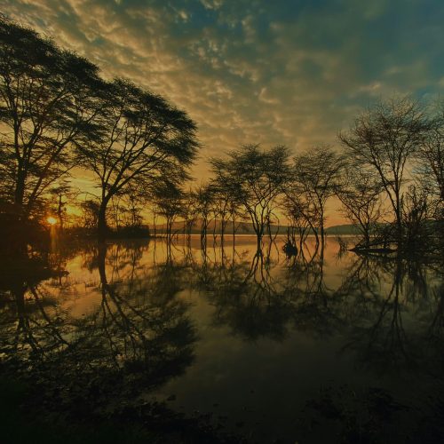 Global Transparency Community Meetings: Enabling data-driven progress 