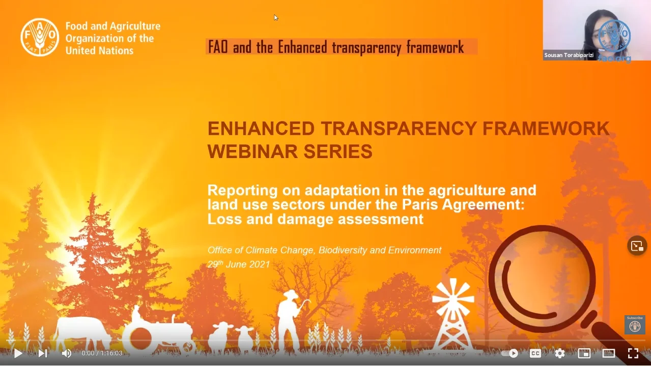 Webinar: Reporting on adaptation in the agriculture and land use sectors under the Paris Agreement: Loss and damage assessment