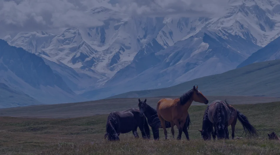 COP28 Side-event: Harnessing Transparency for Ambitious NDC Implementa