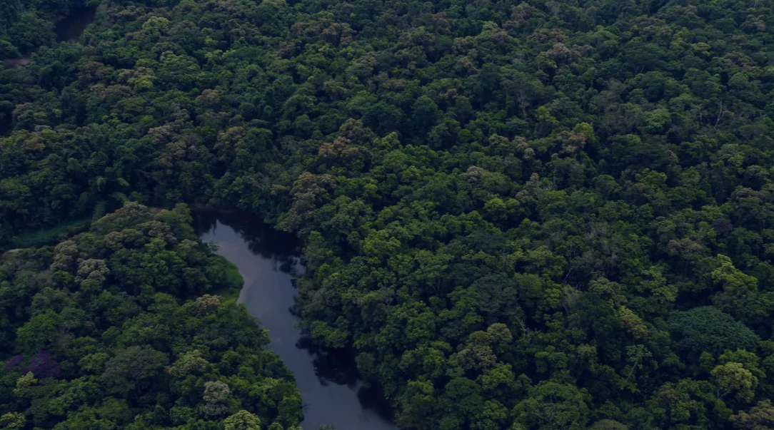 COP28 Side-event: Improving transparency of climate action in Central Africa