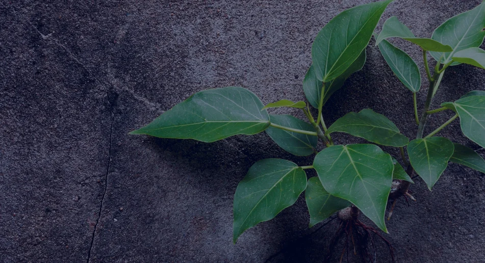 COP28 Side-event: Challenges and Opportunities for Reporting on Adaptation within the ETF