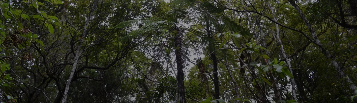 Guidance Development Spotlight: Agriculture Sector