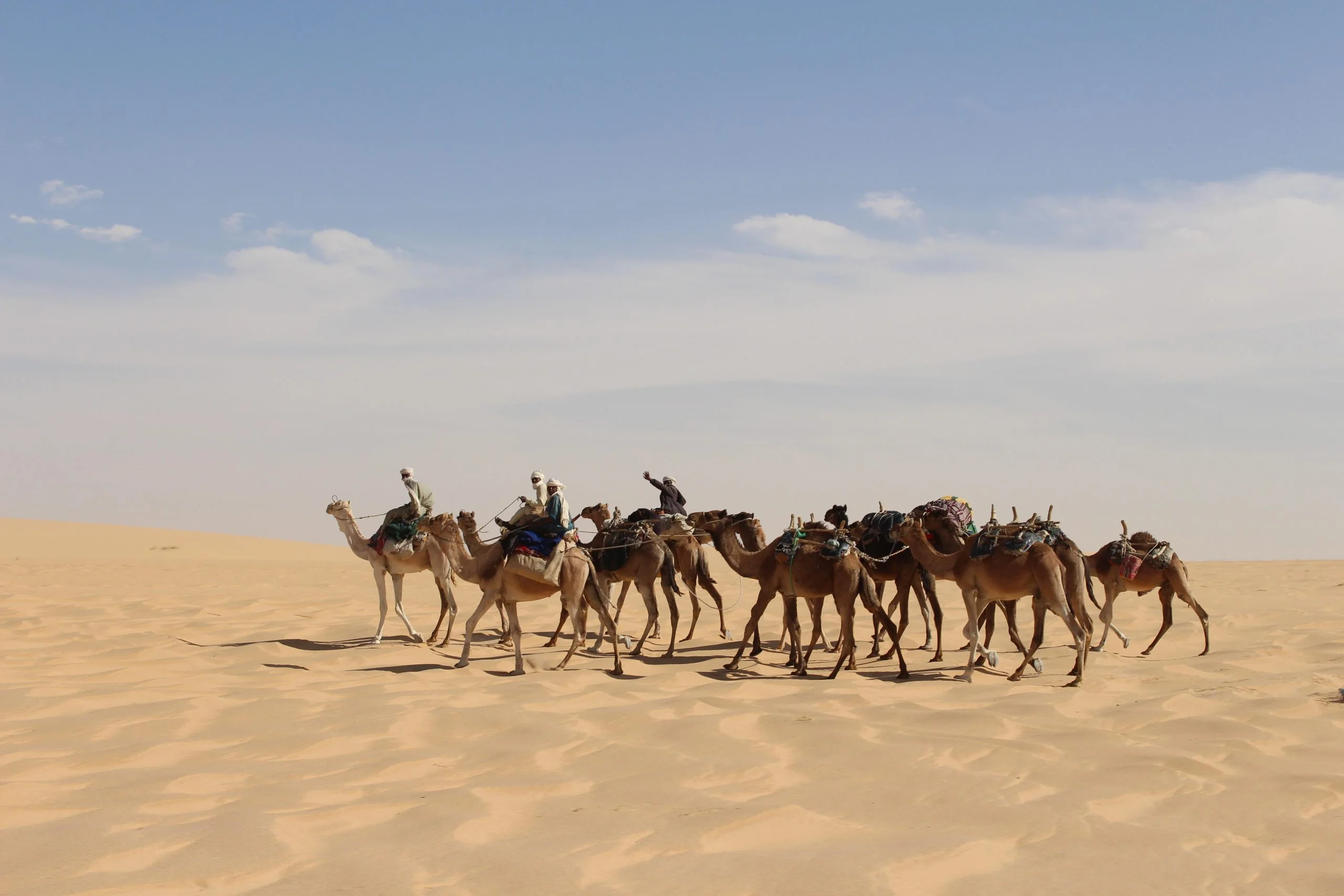 Case Study: Developing national MRV and NDC tracking systems in Chad