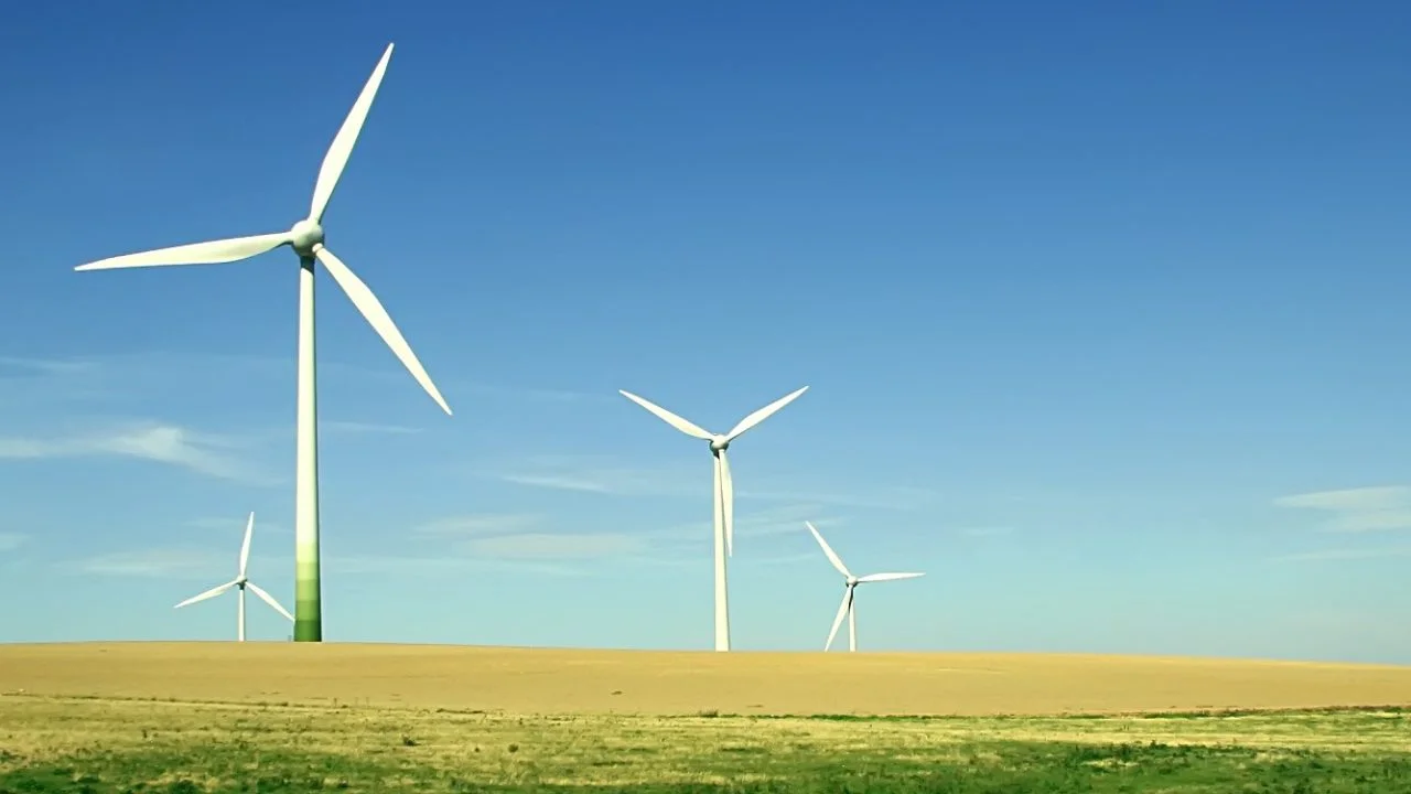 Transparency in the Covid-19 recovery: Virtual conference seeks climat