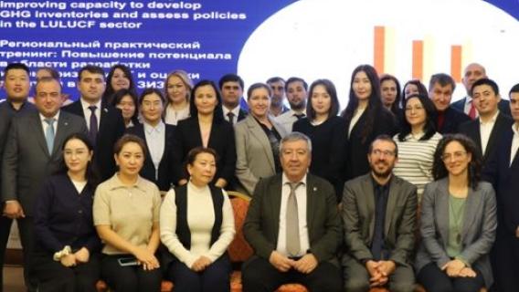 Greenhouse Gas Inventory Development: A Regional Practical Training on Strengthening Capacities