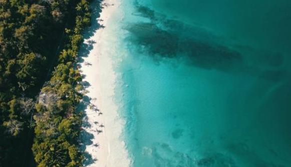 Policy impact assessment for effective climate action