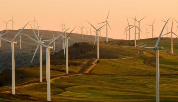 Learning to apply ICAT’s suite of practical tools and methodologies