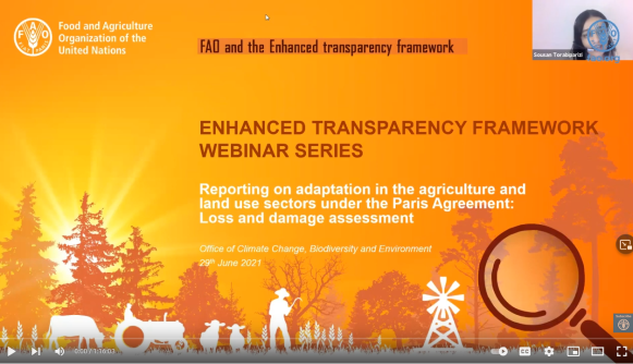 Webinar: Reporting on adaptation in the agriculture and land use sectors under the Paris Agreement: Loss and damage assessment