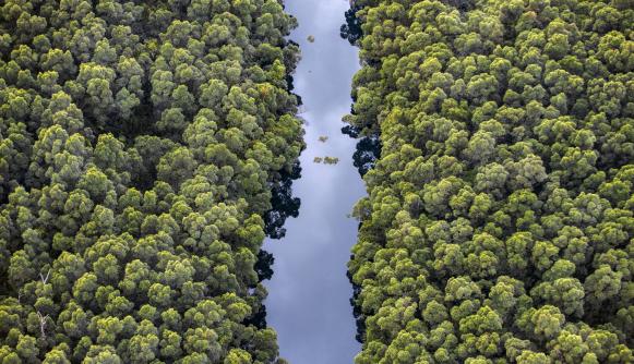 Brazil kicks off just transition tracking project