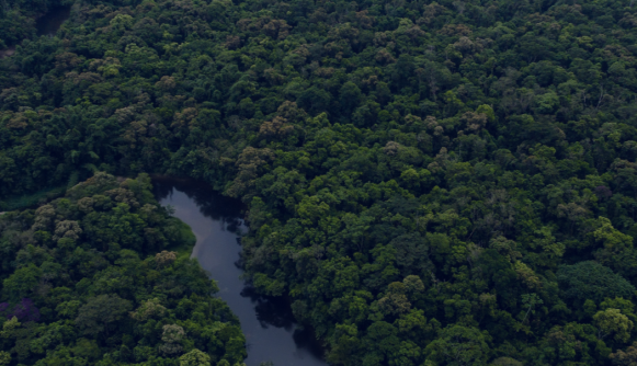 COP28 Side-event: Improving transparency of climate action in Central Africa