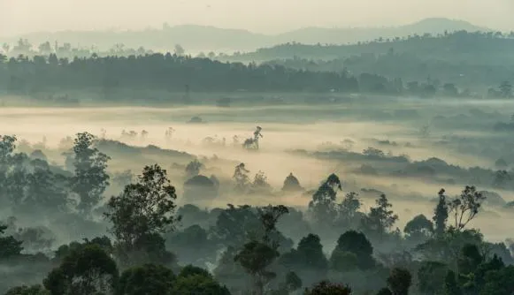 Central African Countries Develop Enhanced Transparency Action Plans