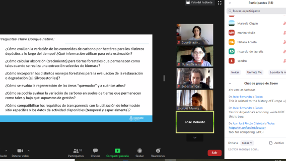 Pursuing new paths for capacity building: ICAT delivers technical assistance to Argentina on LULUCF sector