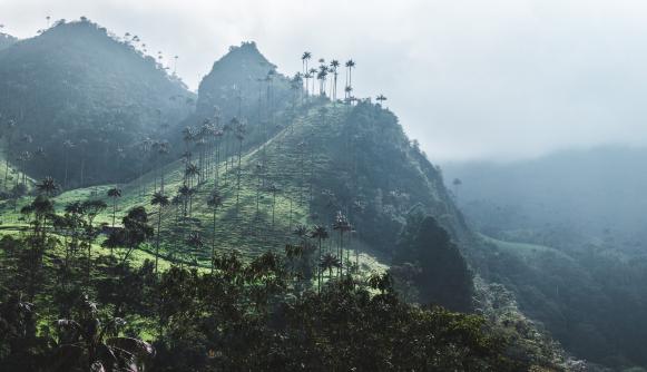 Case study: Quantifying emissions impact of subnational and non-state actors in Colombia