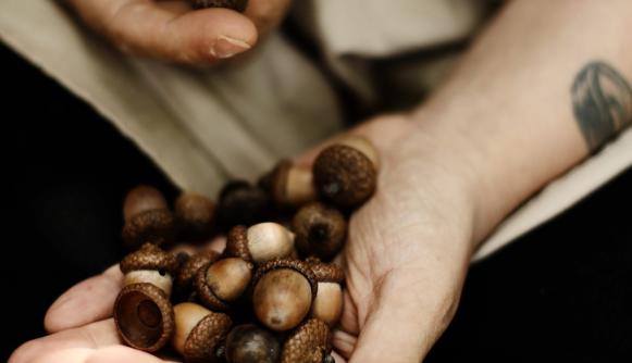 ‘Great oaks from little acorns grow’ – how ICAT is partnering with developing countries to sow the seeds for transformational change