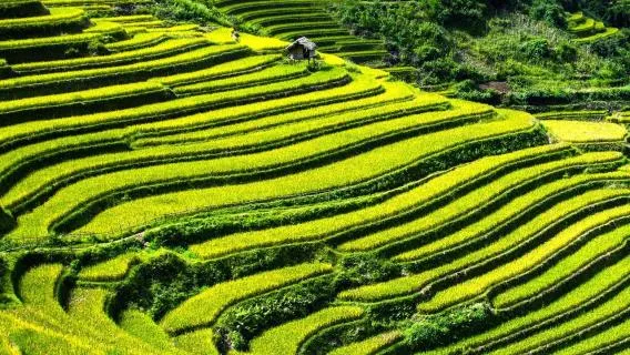 Vietnam: Assessing the impact of climate mitigation initiatives