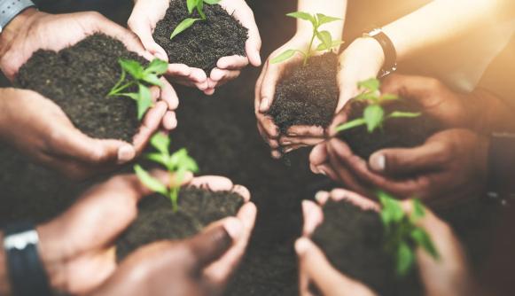 Webinaires: Présentation des guides sur le développement durable et la participation des parties prenantes