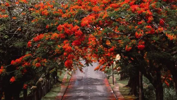 Case Study: Developing a blueprint for an MRV system for the agriculture sector in Fiji