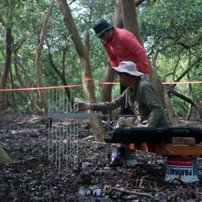 carbon-stock-measurement-Indonesia-Aulia-Erlangga-CIFOR