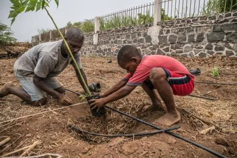 Assessment Tool and Guide for Adaptation Project Proposals