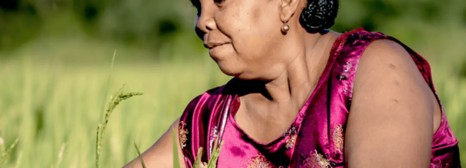 Out Now: 2025 ICAT Impact Report