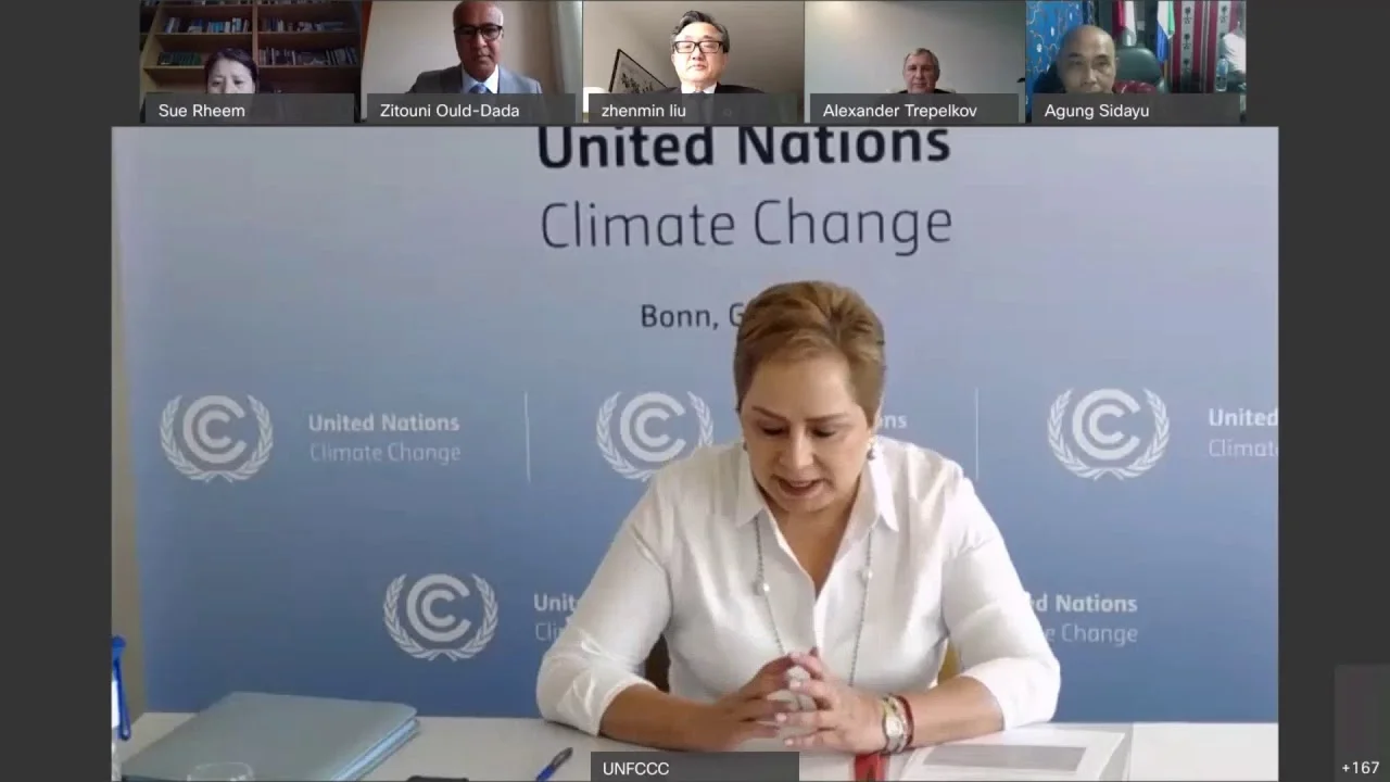 Webinar: Thinking ahead for a Sustainable, Just &amp; Resilient Recove